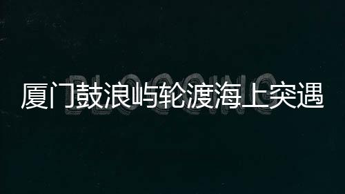 所有船舶都平安靠岸