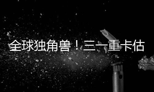 兽重作为全球独角兽企业