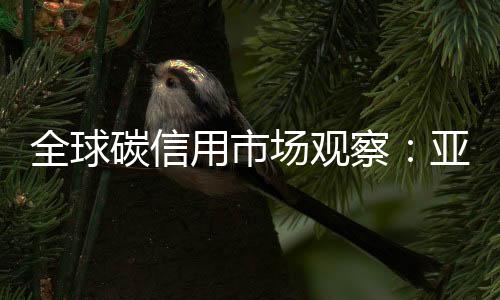 用市金融与规则的信任体系