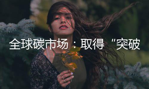 碳市真正开启减排量跨国交易