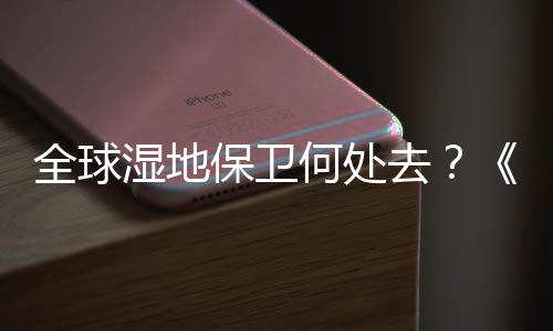 这些湿地并非不重要