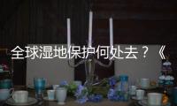 全球湿地保护何处去？《湿地公约》科技委员会主席这么说