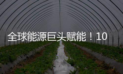 主要生产高性能热固性树脂