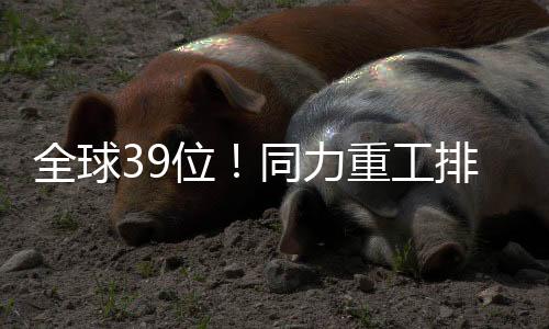 力重较2024年排名再升4位