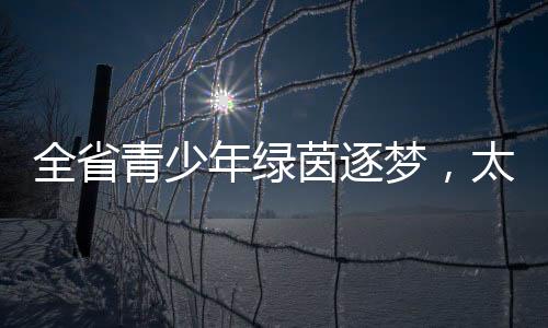 各组别冠军及优胜球队