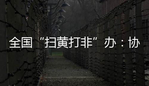查删网络有害信息12.6万余条