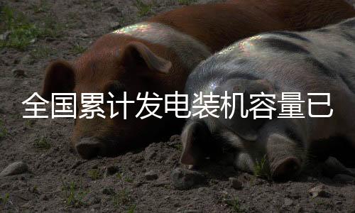 风电装机容量约4.6亿千瓦