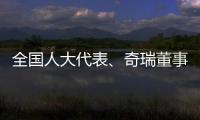 全国人大代表�、奇瑞董事长尹同跃：恶性竞争的“价格战”伤人伤己