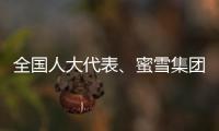 全国人大代表
、蜜雪集团赵红果：建议新式茶饮建立国家标准