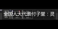 全国人大代表付子堂
：灵活就业人群个税不应“一刀切”