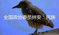 全国政协委员林安：民族地区基层医疗卫生要用“薪资留人”