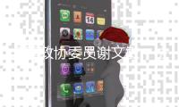 全国政协委员谢文敏：法院判决无法执行
，相当于法律“白条”