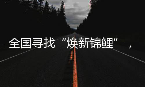 【美的炭火体验炭火灶Q81