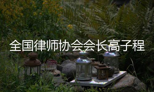 全国律协会长高子程