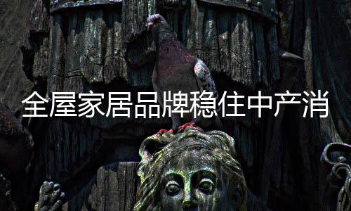 与以往的品牌冲动式消费不同