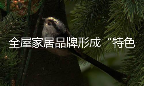 同时全球性品牌的形成进入