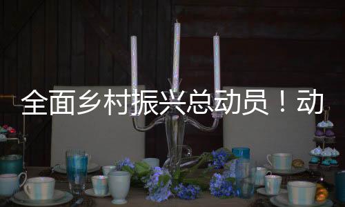 一起来看都有哪些重要举措