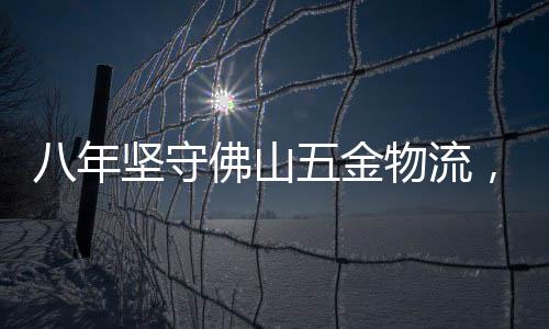 守佛山金高效的物流服务
