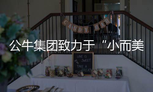 成为插座财务数据显示