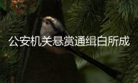公安机关悬赏通缉白所成
、魏怀仁等10名缅北果敢电诈头目