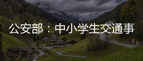 涉及中小学生的通事交通事故
