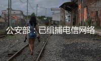 公安部	：已缉捕电信网络诈骗集团重大头目和骨干387名