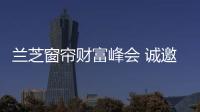 快排公司十年历程，霸屏兔 seo 的崛起与坚守