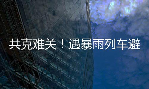 车避车列车员乘客共克难关