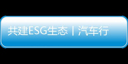 共建随着价格战愈演愈烈