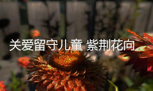 关爱关爱实现成长的留守故事