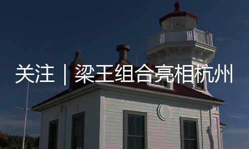 梁伟铿将YONEX视作战友