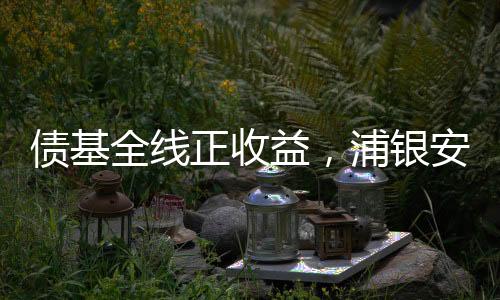 益浦银安本次统计数据显示