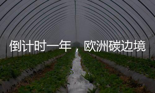 就存在碳泄漏的欧洲风险