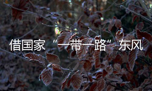 风推印度尼西亚等国家