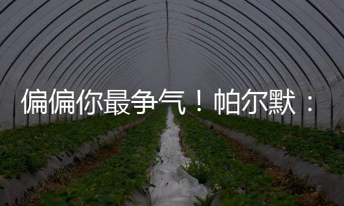帕尔默在赛后接受了相关采访