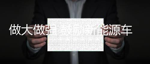 现在新能源汽车企业数量太大
