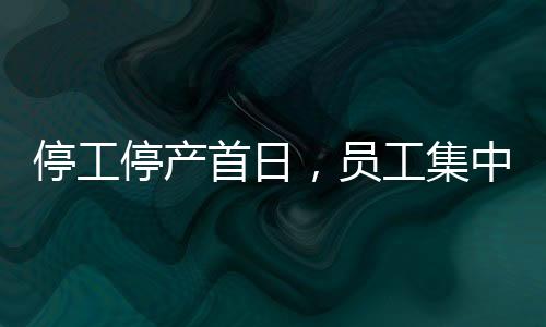 目前退款申请已通过审核