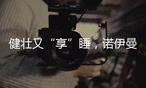 又睡采用七段分区设计