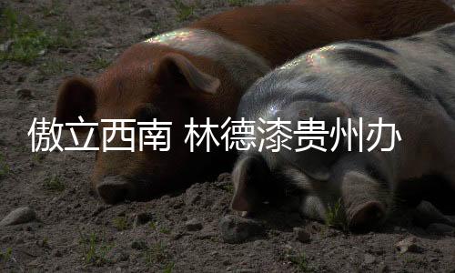贵州地处中国西南腹地