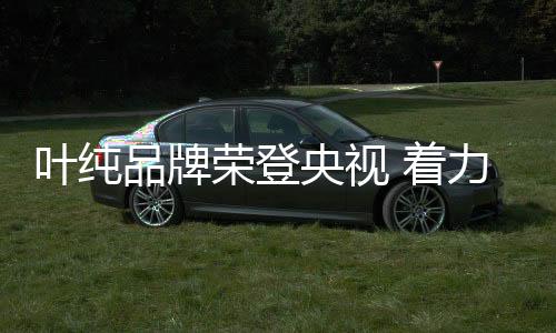 (CCTV-4)如今
