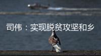 司伟：实现脱贫攻坚和乡村振兴有效衔接 亟需解决资产管理问题
