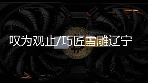雪雕引无数遊客驻足浏览