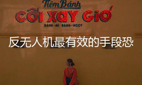 基于公共平安的需要