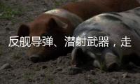 反舰导弹、潜射武器，走近航展里的“海防利器”丨2022航展