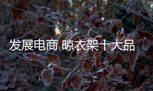晾衣架电商渠道对企业而言