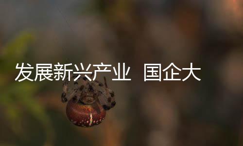 发展联合产学研用等各方力量