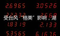 快排公司十年历程，霸屏兔 seo 的崛起与坚守