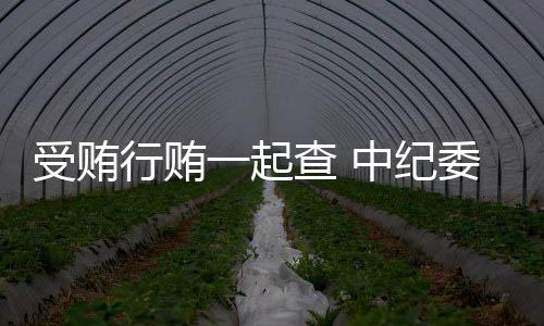 建立应当坚决予以查处