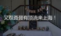 又双叒叕有顶流来上海！商场5层全部挤满
，有人凌晨3点到门口排队.......