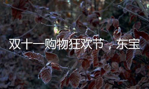 双11的正确打开方式